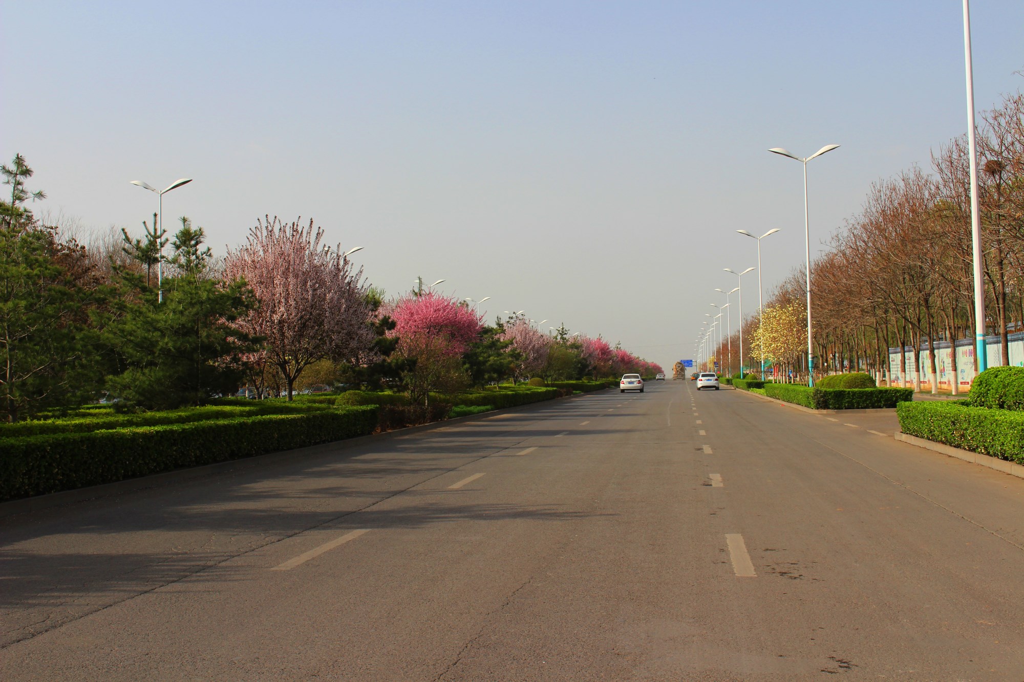 文博路實景