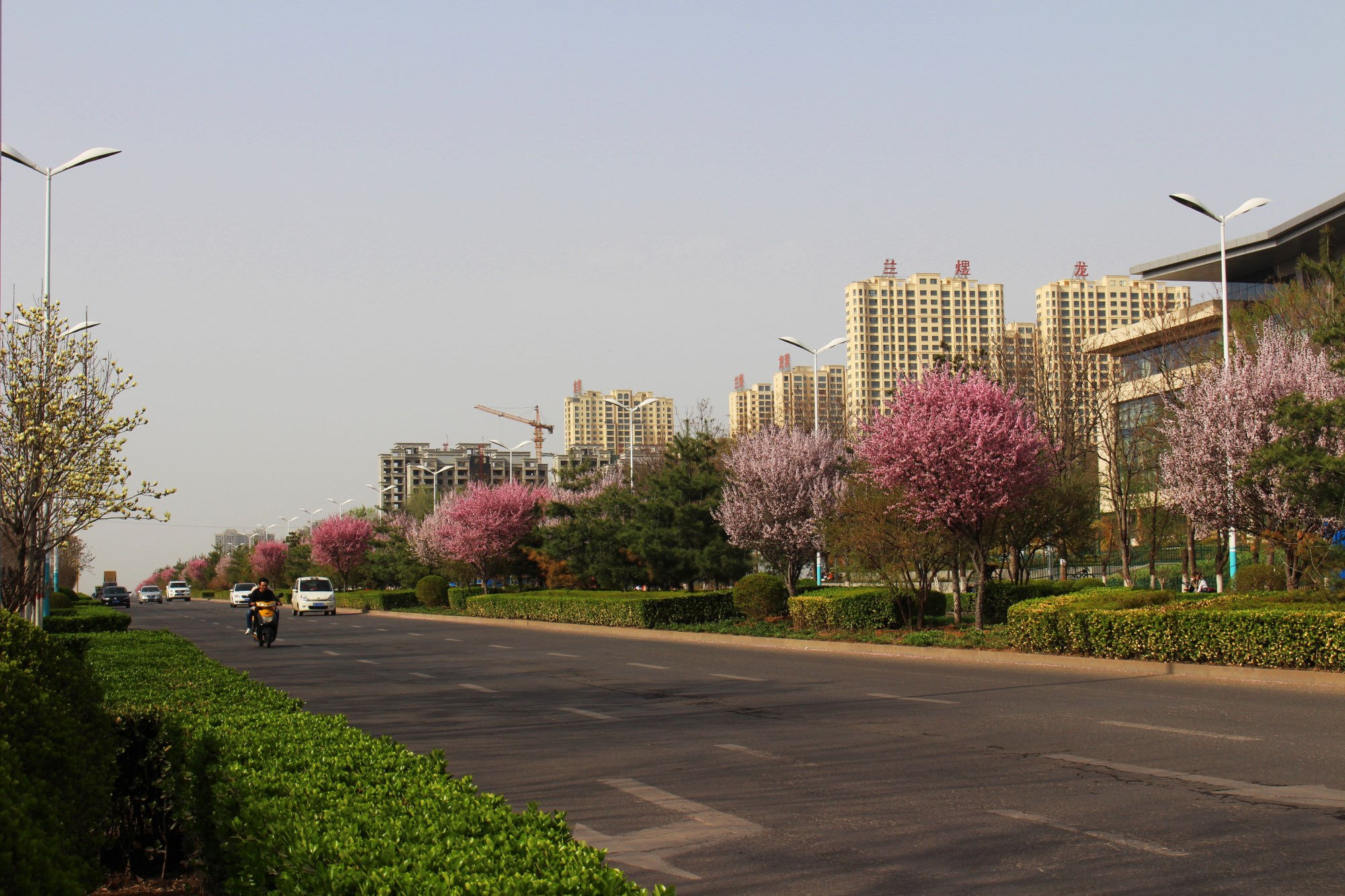 文博路實景